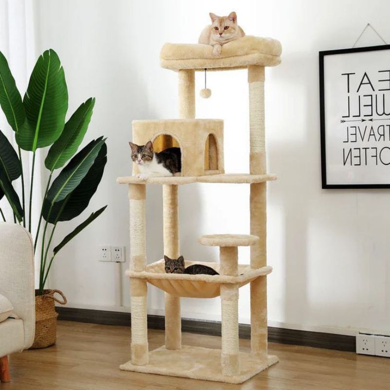 Harga hotsell cat condo