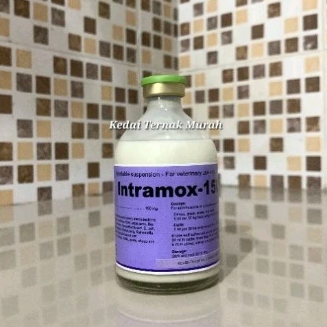Jual Intramox 100ml Inj Antibiotik Hewan Amoxicillin Spektrum Luas Sapi ...