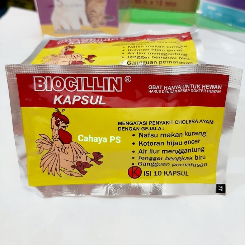 Jual Biocillin kapsul (isi 10 kapsul) | Shopee Indonesia