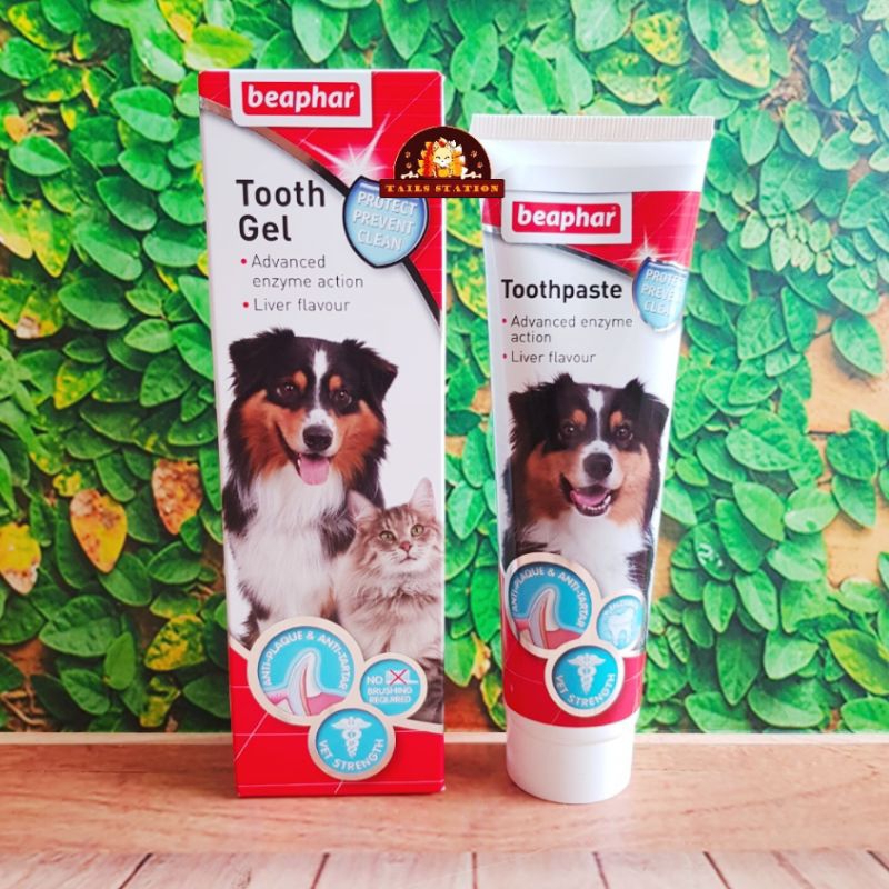 Jual Beaphar Tooth Paste Tooth Gel For Dog Cat 100gr Odol Anjing Kucing