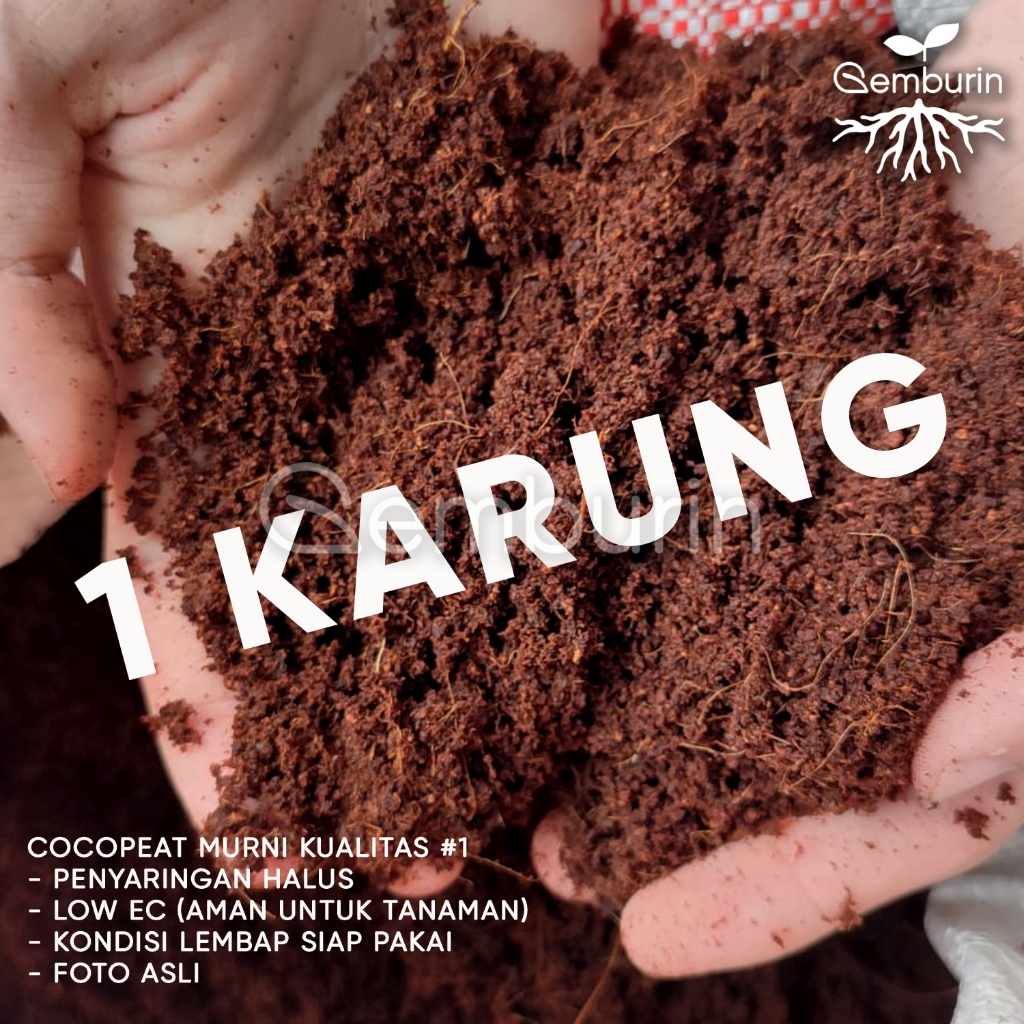 Jual Media Tanam Cocopeat Halus 1 Karung Jumbo Lembab Murah / Sabut ...