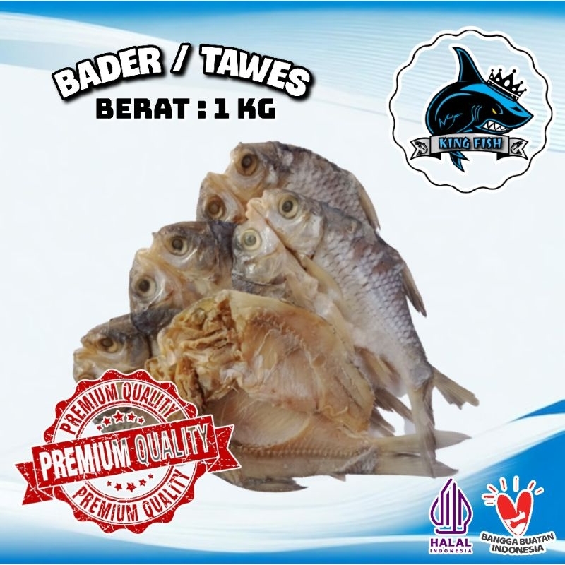 Jual 1KG IKAN ASIN BADER/TAWES MURAH BERKUALITAS | Shopee Indonesia