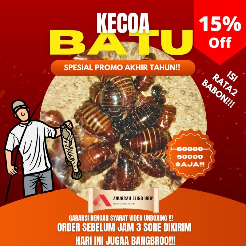 Jual Kecowa Batu Ceremende Umpan Mancing Super Isi Rata Rata Babon