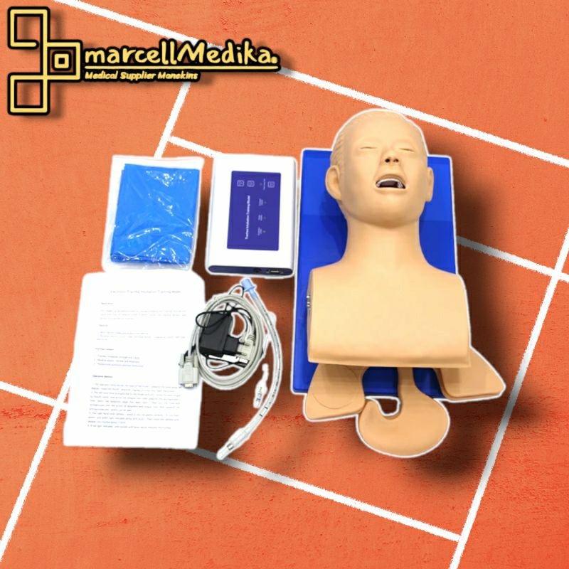 Jual Phantom Manekin Trachea Intubation Adult Gl 8407 Manikin Intubasi Trakea Dewasa Shopee 