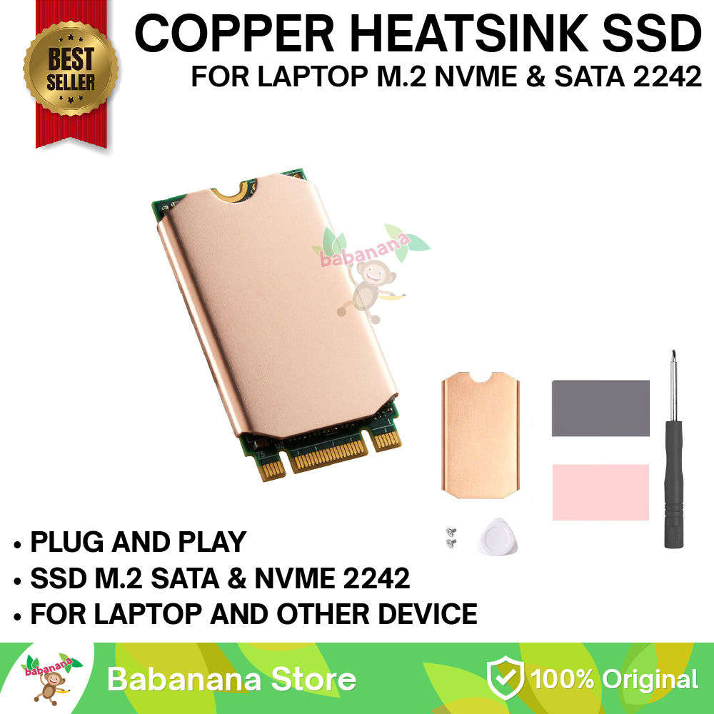 Jual Heatsink Ssd M Nvme M Sata Cooling Steam Deck Laptop Cooler M Shopee Indonesia