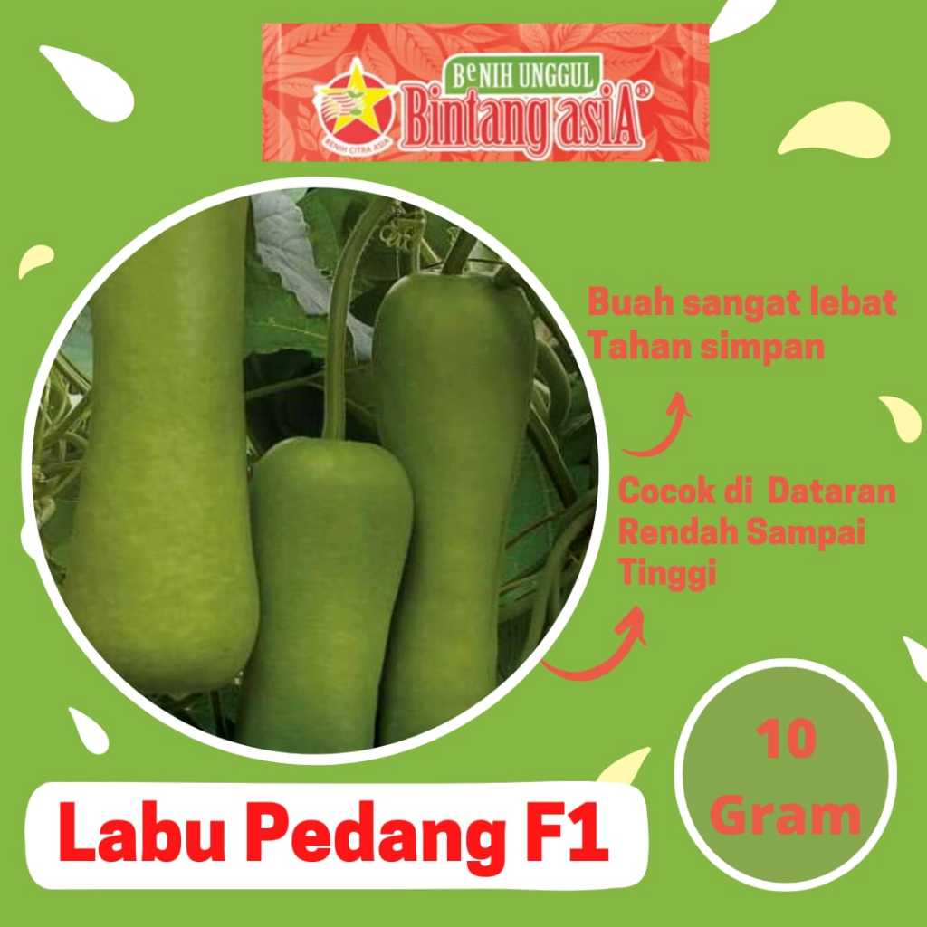 Jual Benih Labu PEDANG F1 10 Gram Cap Bintang Asia PT Benih Citra Asia ...