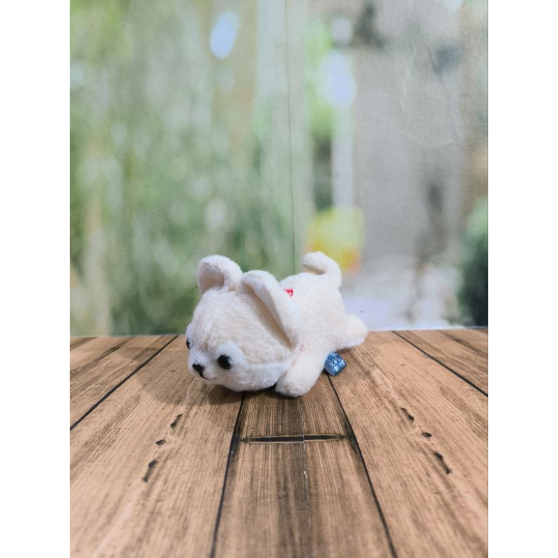 Jual boneka shina inu/shiba inu boneka/shiba inu plush/amuse shiba inu ...