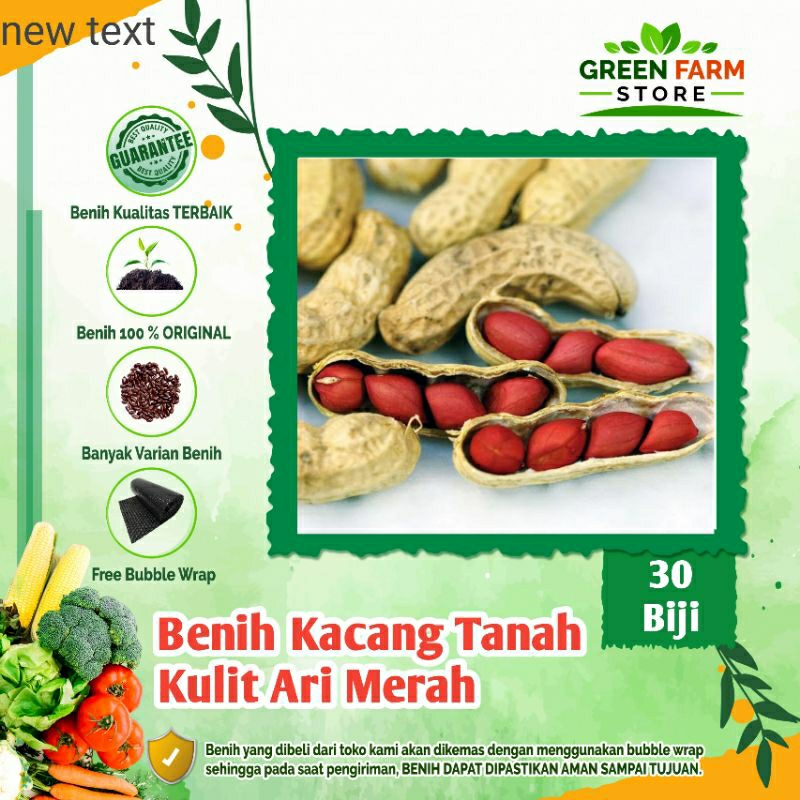 Jual Benih Kacang Tanah Hibrida Kulit Ari Merah 30biji Shopee Indonesia