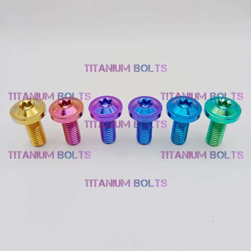 CBR900 RR BULLONI a disco titanio Honda Fireblade 92-01 Set completo