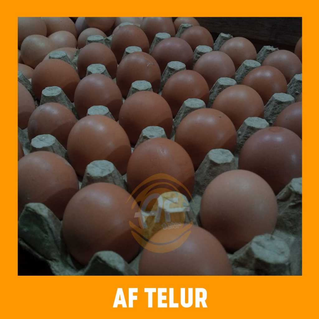 Jual Telur Ayam Negeri Superkecil Fresh 1 Tray Isi 30 Butir Berat 1500 1800 Gram Af Telur 8953