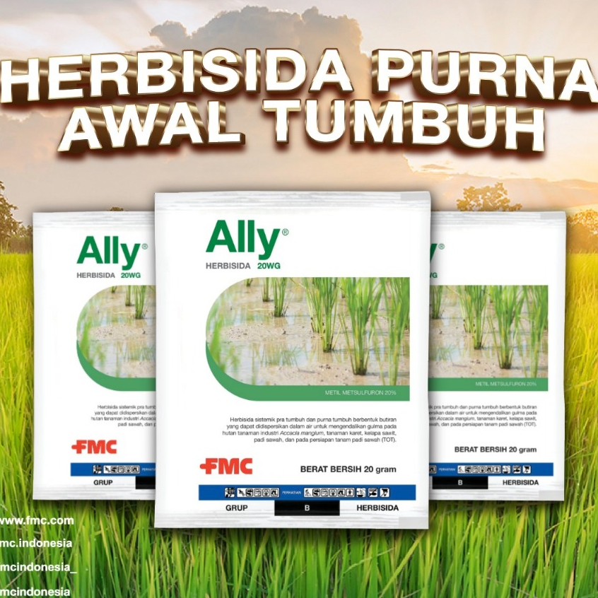 Jual Herbisida ALLY 20 WG 5gram - Racun Rumput Sistemik Padi | Shopee ...