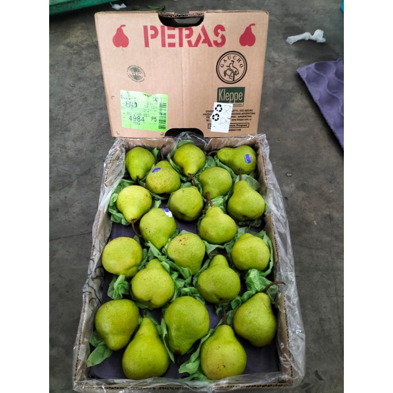 Jual Pear Packham Shopee Indonesia 