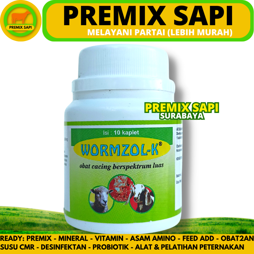 Jual WORMZOL K 10 KAPLET MEDION - Obat Cacing Kambing Domba Babi Anjing ...