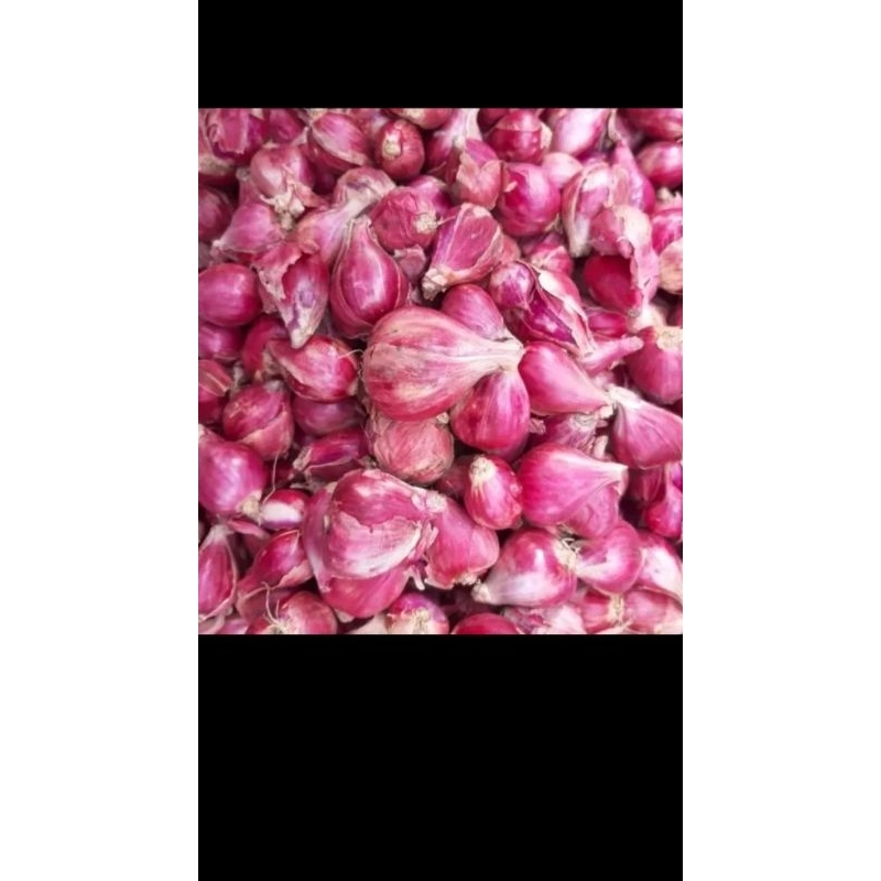 Jual Bawang Merah 1kg Brambang 1kg Shopee Indonesia