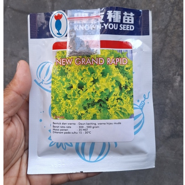 Jual Benih Bibit Selada Hijau Grand Rapids Known You Seed - Kemasan ...