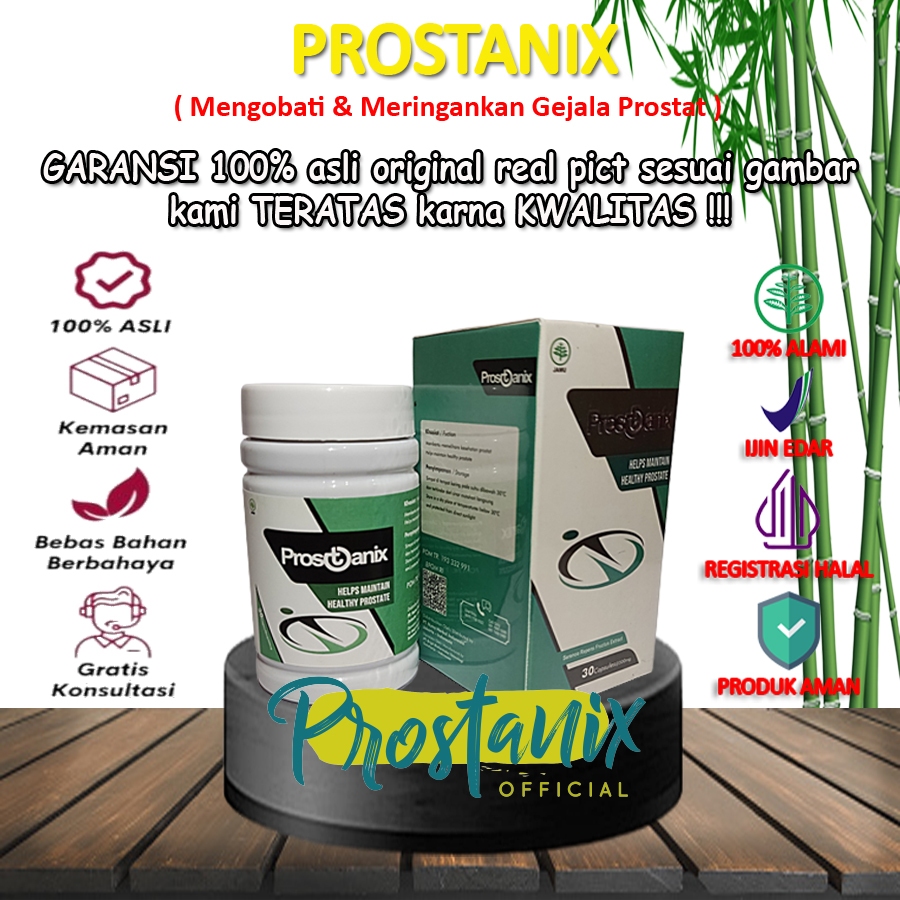 Jual Prostanix 100% Asli Herbal Original Obat Prostat Resmi BPOM ...
