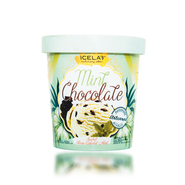 Jual ICELAB - Gelato Mint Chocolate Sorbet (Plant-Based) 16oz | Shopee ...