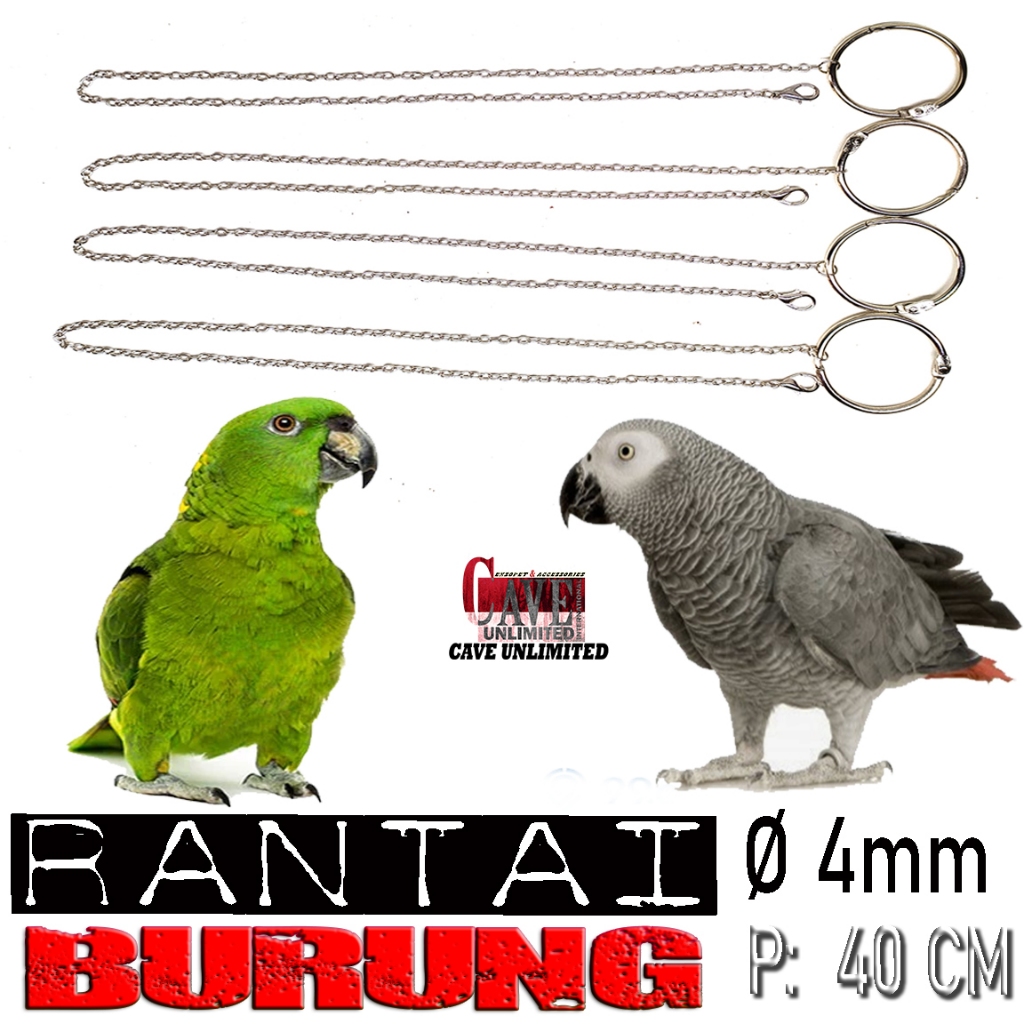 Jual RANTAI KAKI BURUNG RANTE BORGOL KAKI BURUNG PARBENG OWL BURUNG ...