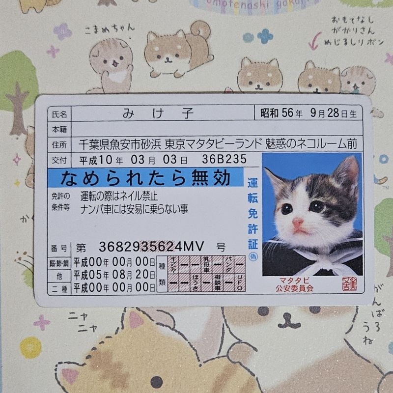 Jual japanese cat id card | Shopee Indonesia