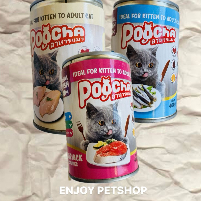 Jual POOCHA (KALENG) | Shopee Indonesia
