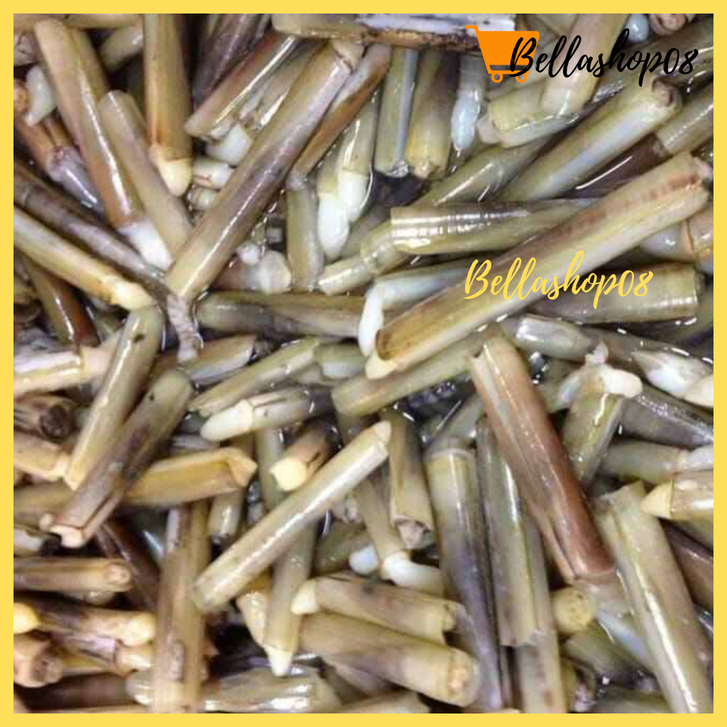 Jual Kerang Bambu Fresh ( Frozen) Shopee Indonesia