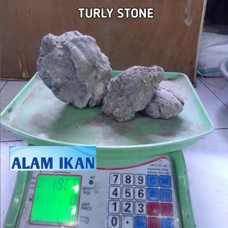 Jual Batu hiasan aquascape batu turly 500gram | Shopee Indonesia