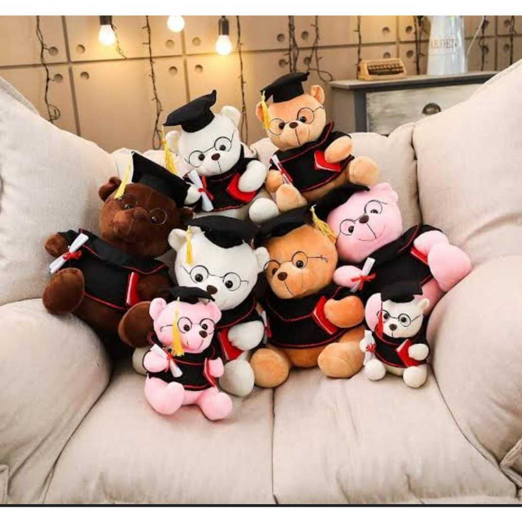 Jual BONEKA WISUDA TEDDY/GIFT GRADUATION PLUSH TOY 18/23CM | Shopee ...