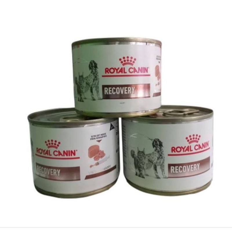 Jual Royal Canin Recovery 195gr | Shopee Indonesia