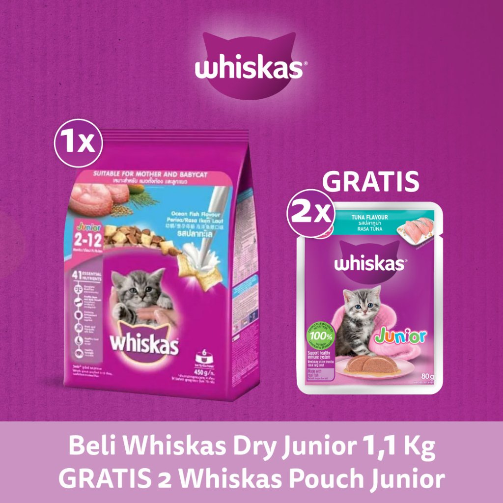 Jual whiskas junior ocean fish 1,1kg ( dry cat food for kitten