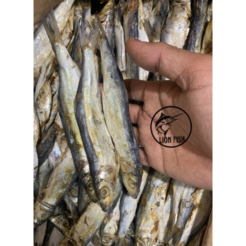 Jual ikan asin japuh siro fresh;1kg | Shopee Indonesia