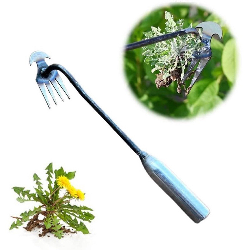 Jual Alat Pencabut Rumput Liar Bahan Full besi dan Gagang kayu - Garuk ...