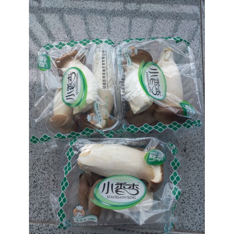 Jual Jamur Eryngii/ King oyster 200gr Shopee Indonesia