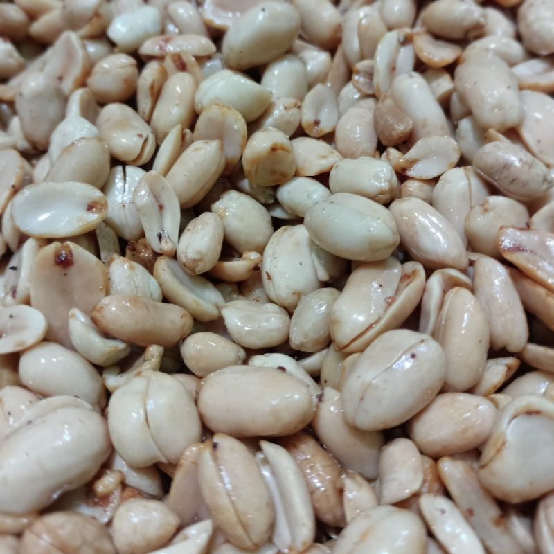 Jual NIKMAT & GURIH!! (Kacang Goreng Rasa Bawang Putih) Wadah Toples ...