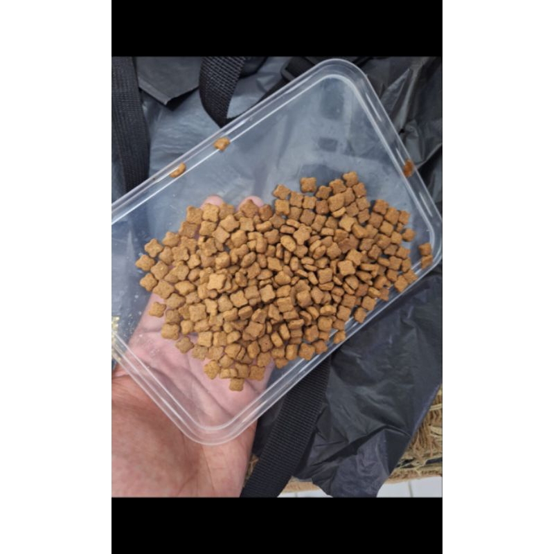 Jual royall caninno kiten sterilised repack | Shopee Indonesia