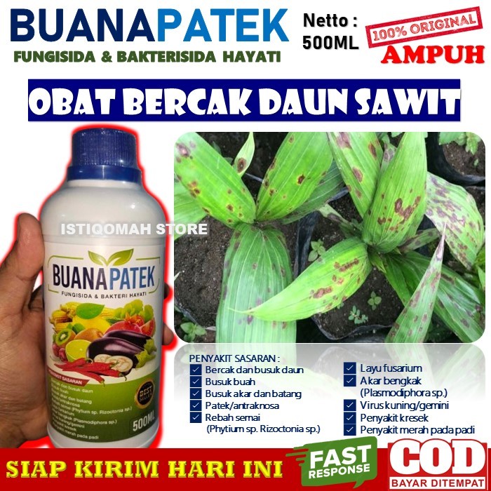 Jual Obat Bercak Daun Sawit Yang Bagus Dan Tokcer Mujarab Buanapatek