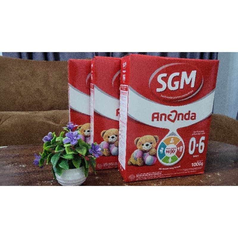 Jual SGM ANANDA 1, Ananda 2, dan 1+ FORMULA BAYI BUBUK 1000 gr | Shopee ...