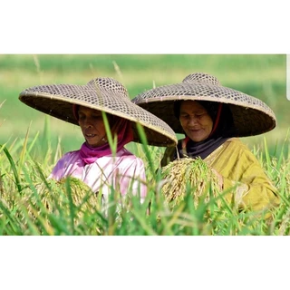 Jual Topi Petani Terlengkap & Harga Terbaru Juni 2024 | Shopee Indonesia