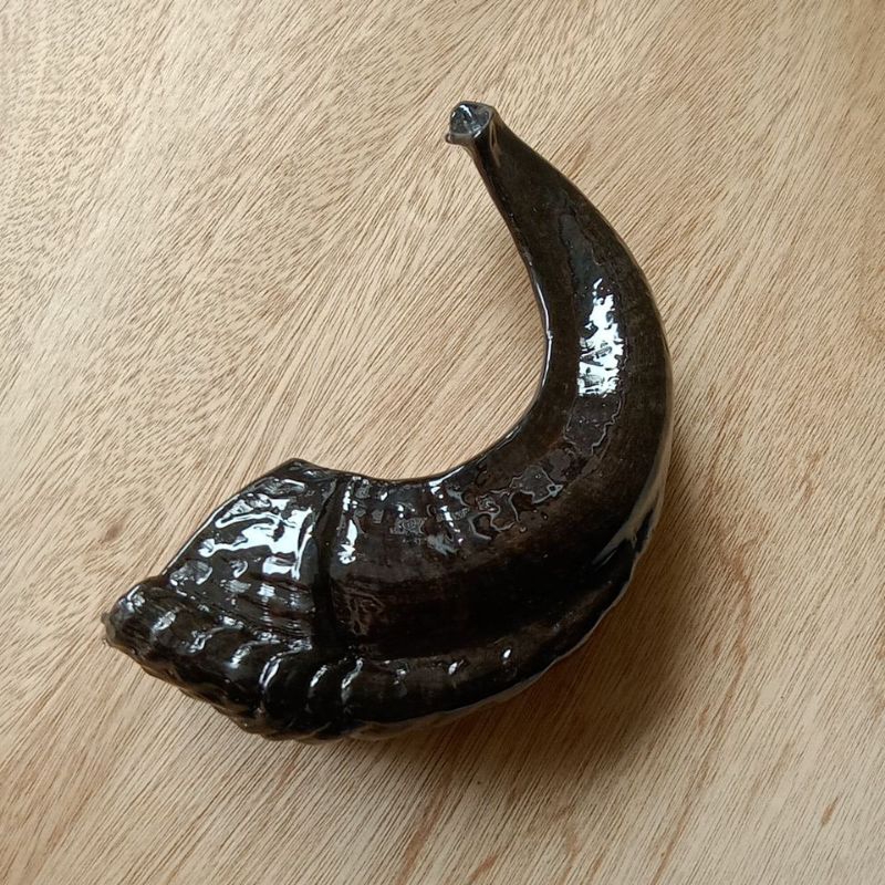 Jual shofar 15 inch coat resin | Shopee Indonesia