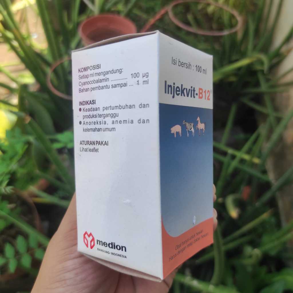 Jual INJEKVIT B12 100ml Injeksi Untuk Perbaiki Kondisi Tubuh Anemia ...