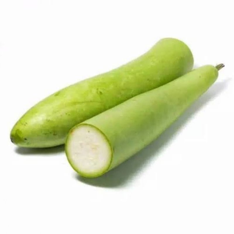 Jual labu air, labu putih, KHUSUS PULAU JAWA labu panjang | Shopee ...