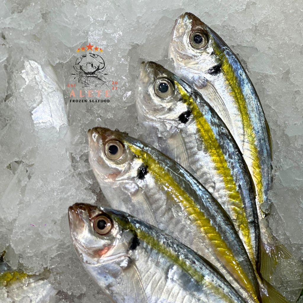 Jual Ikan Selar Segar 1kg Beku Frozen Selar Kuning Fresh | Shopee Indonesia