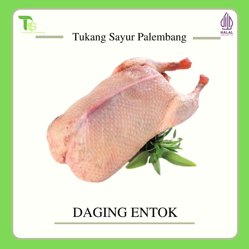 Jual BEBEK, ENTOK PEDAGING, ENTOK DAGING, SERATI {Palembang} | Shopee ...