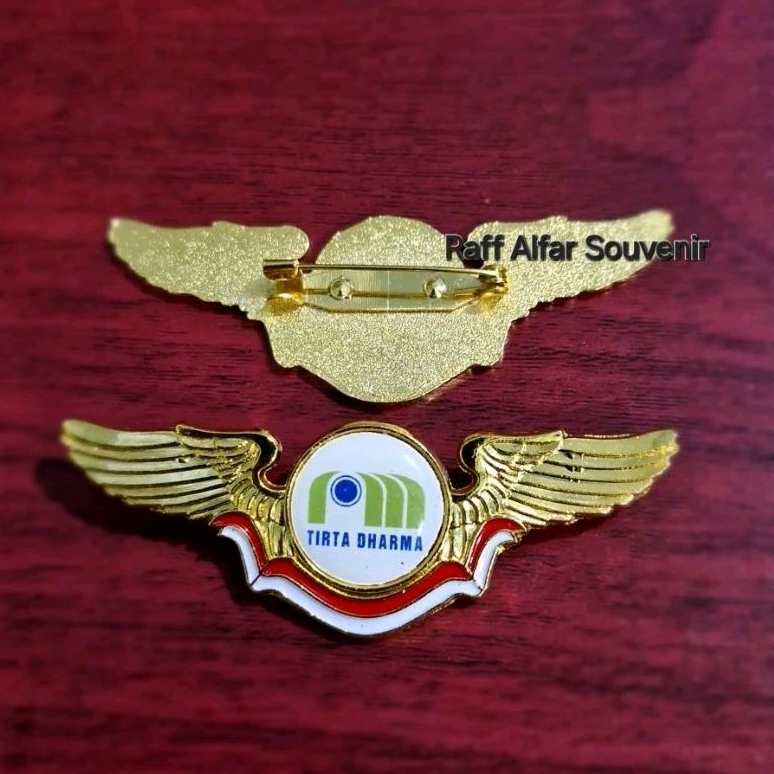 Jual Pin Pdam - Pin Tirta Dharma pin model wing | Shopee Indonesia