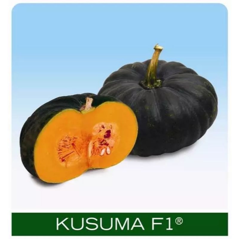 Jual Benih labu besar hibrida F1 KUSUMA kemasan 225butir Cap Panah ...