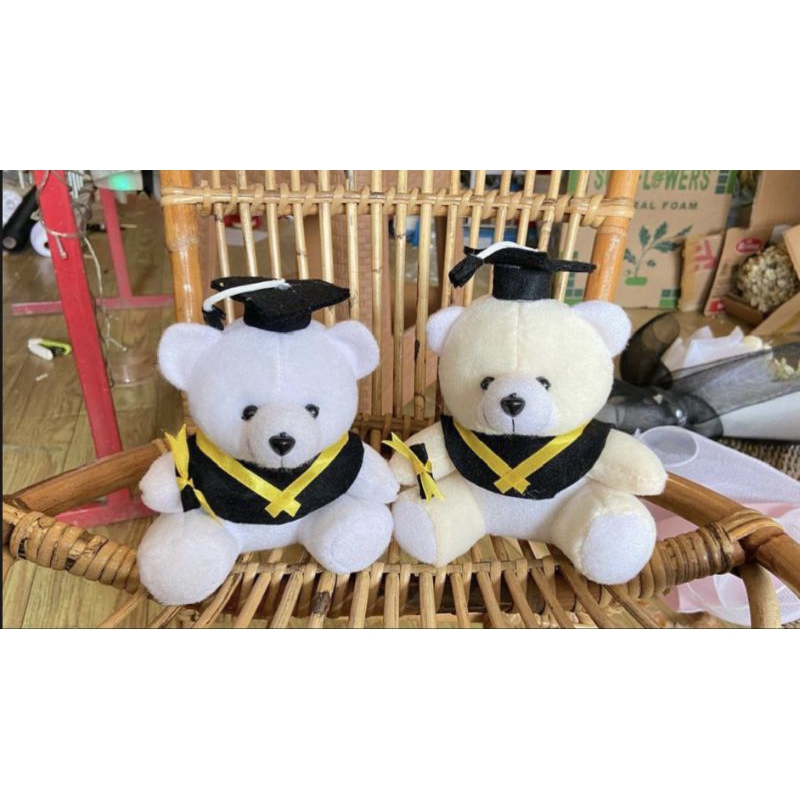 Jual Boneka wisuda 15cm | taddy graduation ±15cm | boneka lucu | boneka ...