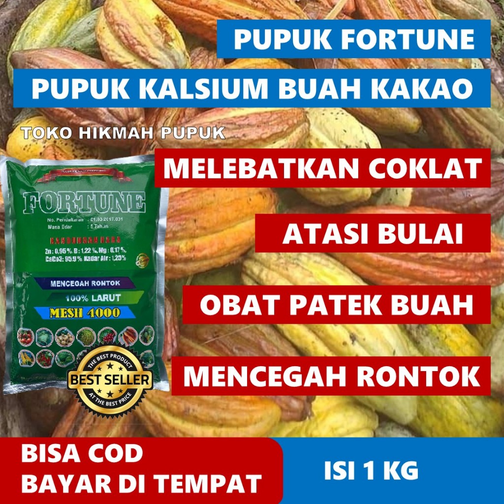 Jual Kalsium Buah KAKAO/COKLAT Mencegah Rontok dan Layu Pada Tanaman ...