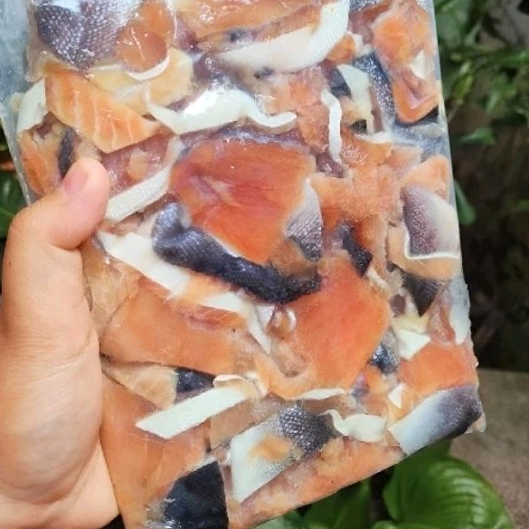 Jual Daging Tetelan Salmon Premium {cikarang Tambun} Fresh Termurah