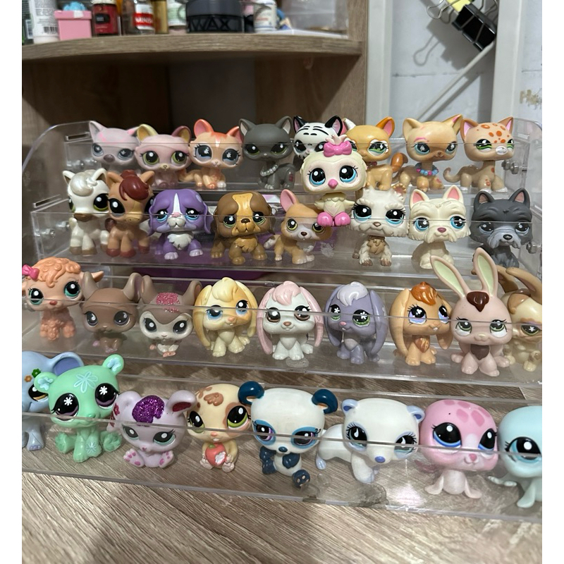 Jual AUTHENTIC LPS Littlest Pet Shop | Shopee Indonesia