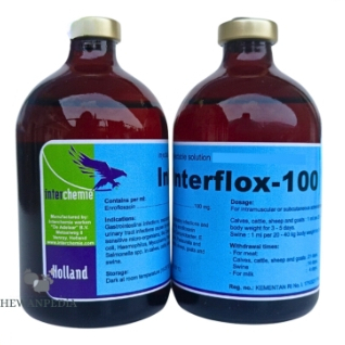 Jual INTERFLOX 100 ml Injeksi - Enrofloxacin Hewan Antibiotik ...