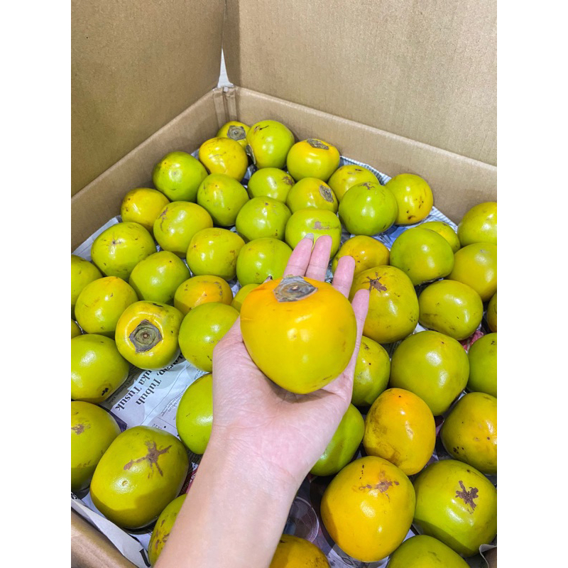 Jual buah kesemek lokal tanpa bedak persimon 900-1000 gr | Shopee Indonesia